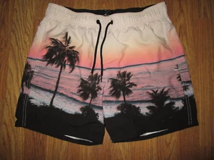 Mens HOLLISTER swim trunks shorts with built in mesh liner sz S Sm - Picture 1 of 1