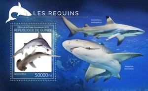 Guinea - Tiburones 2019 en estampillas - Hoja de recuerdo de estampillas - GU190210b - Imagen 1 de 1