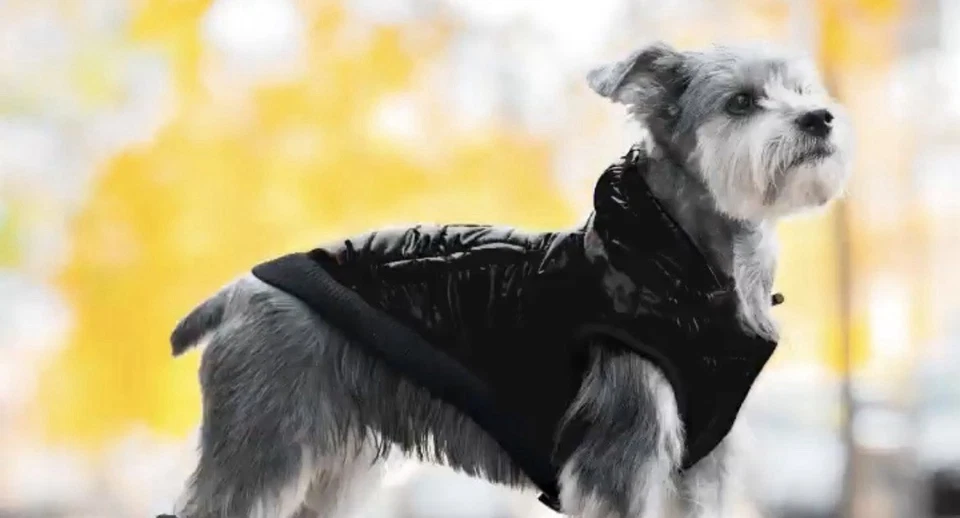 NWT Shiny Black Hooded Puffer Vest For Dogs Sz 18” by Canada Pooch Pup Jacket - Image 1 of 4