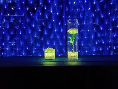 centros de mesa boda rosa flotante Foto 1 de 4