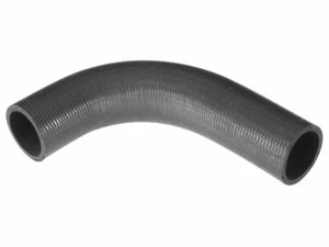 Upper Radiator Hose For 1965-1966, 1968 Dodge P100 3.7L 6 Cyl GAS J773FB - Picture 1 of 1
