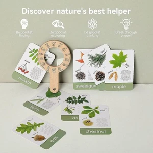 Plant Flash Cards Educational Learning Activity Fun Realistic Photo for Age 3 4 - Picture 1 of 7
