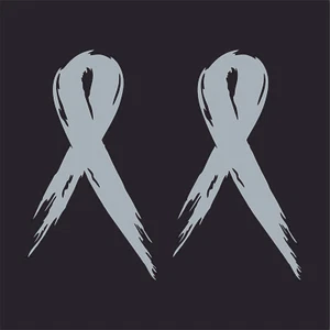pair - Brain Cancer Awareness Gray Ribbons Stickers | Car Window Bumper Decals - Bild 1 von 1
