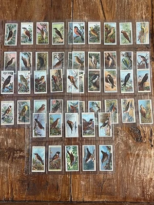 Will's Cigarette Cards Full Set of 50 - British Birds 1915, VGC - Image 1 of 4
