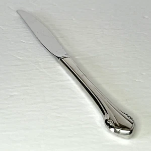 Oneida Stainless Flatware Dinner Knife Bittersweet Repose Replacement - Picture 1 of 7