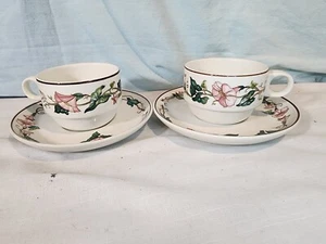 VILLEROY & BOCH Palermo Cup and Saucer, Set of 2, Made in Luxembourg, NICE! - Picture 1 of 13