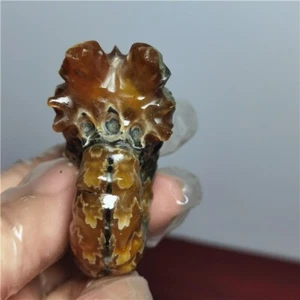 100g NATÜRLICHES poliertes "Ziegenhorn" Fossil Ammonit Douvilleiceras Madagaskar A30 - Bild 1 von 8