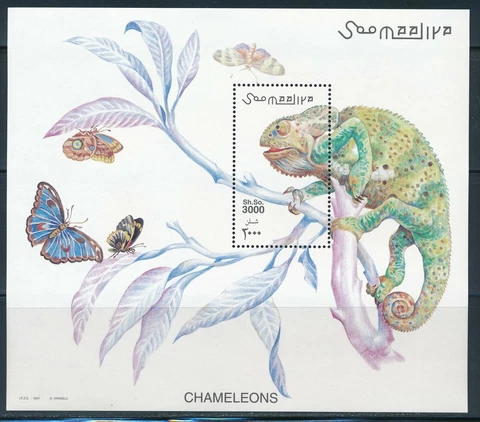 Somalia  - MNH Sheet Animals Chameleons (2001) Cover