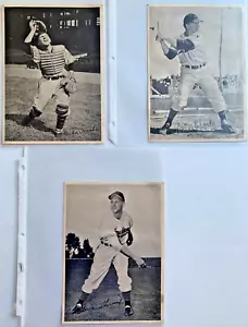 3 49-50 Num Num Allie Clark Steve Gromek Mike Tresh Cleveland Indians 6"x 9" - Bild 1 von 8
