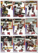 1995-96 Toledo Storm (ECHL) complete 26-card set