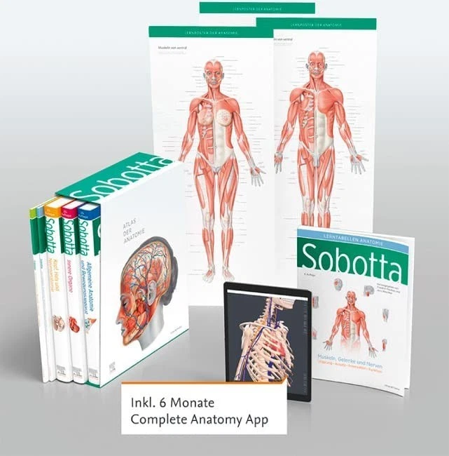 Sobotta Atlas der Anatomie 3 Bände + Lerntabellen + Poster im Schuber 25. Aufl. - Bild 1 von 1