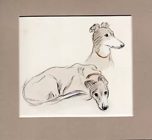 Lucy Dawson ~ Greyhound ~ Hand Coloured Print Genuine Vintage 1937 - Picture 1 of 2