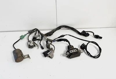 Kawasaki KX450F KX 450F 450 2009 OEM arnés de encendido voltaje eléctrico 09-1 Foto 1 de 3