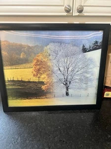 Trends International Real D TREE IN MEADOW 3D Lenticular Print RARE HTF 16x20 - Picture 1 of 7