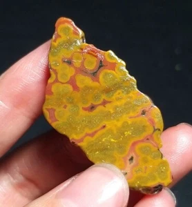 Rare 8G Natural Orbicular Ocean Jasper Rough Stone Healing Madagascar QT69 - Picture 1 of 13