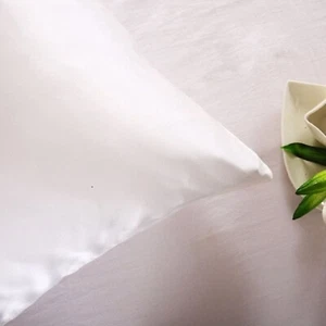 Pure Silk Pillowcase-100% Pure Mulberry Silk-19 Momme-Premium Grade 6A-CARLTY'S - Picture 1 of 24