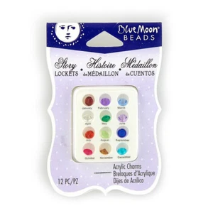 Blue Moon Perlen GESCHICHTE MEDAILLONS Acryl Charms, GEBURTSSTEINE - 12 Stck. - Bild 1 von 1
