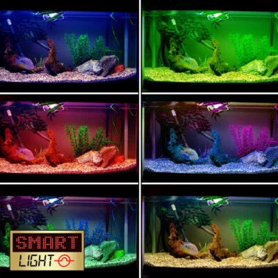 SmartLight 1M-5M IP68 Aquarium Fish Tank Pond Pool Flexible LED Strip Lights 12V - Image 1 of 4