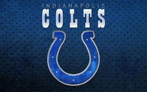 Indianapolis Colts LOGO POSTER 24 X 36 INCH Sweet! - Bild 1 von 2