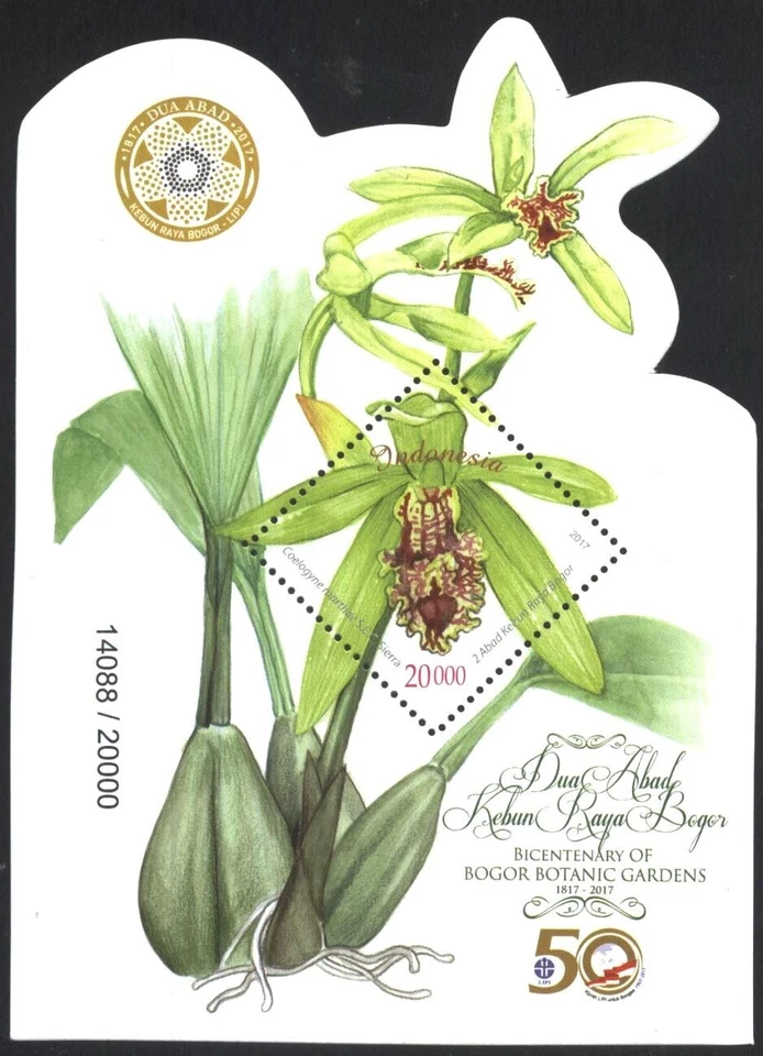 Mint S/S  Flora Flowers Orchids 2017  from Indonesia avdpz - Image 1 of 1
