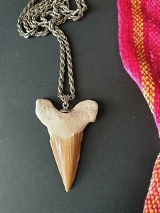 Old Fossilized Shark Tooth Pendant Necklace on Silver Tone Chain (a) - Picture 1 of 5