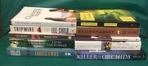 Paperback Book Lot of 10 Novels - Picture 1 of 6