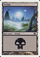 Swamp (339) 8th Edition NM Basic Land MAGIC THE GATHERING MTG CARD ABUGames