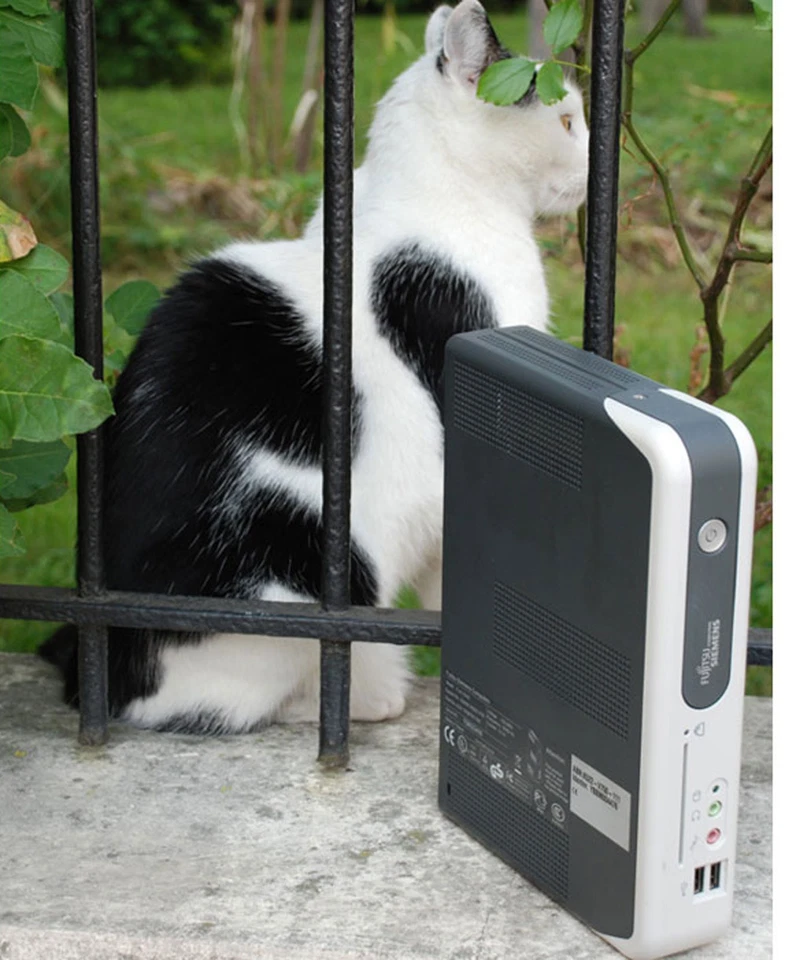 THINCLIENT FSC FUTRO S210 S26231-K522-V715 800 MHz S200 S220 THIN CLIENT MINI-PC - Bild 1 von 1