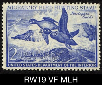 RW19 VF MLH 1952 US Federal Migratory Waterfowl Duck Stamp Harlequins - Image 1 of 3