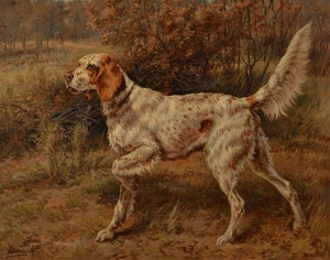 Edmund Osthaus Setter On Point Canvas Print 16 x 20 - Picture 1 of 5