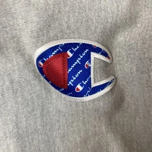 Champion Sweatshirt Youth XS Boys Gray Hoodie Pullover Reverse Weave Kids - Picture 1 of 9