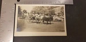 1900 RPPC bambini con piccolo cavallo e passeggino a cavallo in una parata senza timbro - Foto 1 di 3