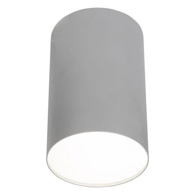 Soffitto Metallo Cucina Ufficio Corridoio Argento Ø13 CM E27 Montata Faretto - Immagine 1 di 2