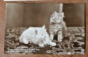 Postal RP En Casa 2 Gatitos en Alfombra Gato - Imagen 1 de 2