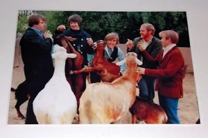 Beach Boys PET SOUNDS album cover photo 1966 Brian Wilson, Dennis 19"x13" RARE - Picture 1 of 4