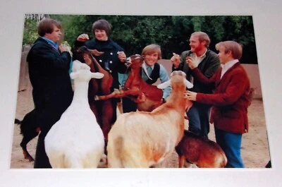 Beach Boys PET SOUNDS album cover photo 1966 Brian Wilson, Dennis 19"x13" RARE - Image 1 of 4