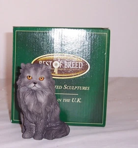 Best of Breed - Persian Cat Sitting - Picture 1 of 1