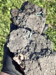 Top Grade Basalt Matrix Isle Royale Greenstone Michigan Gem Chlorastrolite 2part - Picture 1 of 20
