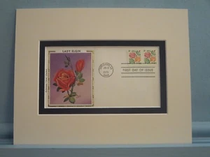 Blumen ehren - Die Lady Elgin Rose & der Ersttagsbrief eigener Briefmarke - Bild 1 von 1