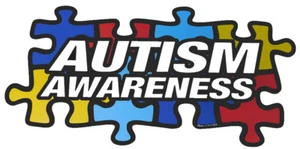 Autism Awareness Puzzle Asperger's Syndrome Car Fridge Magnet Made In USA - Picture 1 of 1