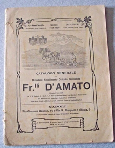 Catalogo Stabilimento Orticolo Napoletano Fr.lli D'Amato Via Bausan Napoli - Foto 1 di 5