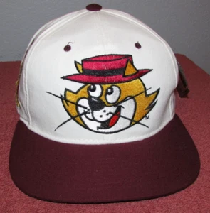 Gorra de béisbol Topcat American Needle Toons Snapback 1993 de colección - Imagen 1 de 4