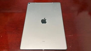 Apple iPad Pro 12,9 pulgadas (2.ª generación) - 512 GB - Gris espacial (celda) - Pantalla halo - Imagen 1 de 8