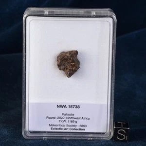 Météorite NWA 15738 de 5,21 g -Sidérolithe Pallasite dans sa boite - Imagen 1 de 12