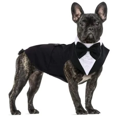 Dog Tuxedo for Medium Dogs Dog Suit and Bandana Set Dog Wedding Outfit with B... - Image 1 of 4
