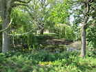 Photo 12x8 Pond at Low Metham Grange Greenoak On the footpath to Laxton c2019