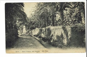 CPA-Carte postale-  Tunisie - Dans l'oasis ,une Séquia - 1915 S654 - Picture 1 of 2