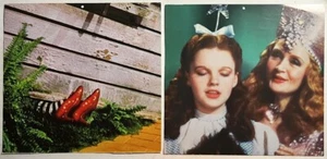 THE WIZARD of OZ ~ Lot of Movie Picture Prints - Picture 1 of 5