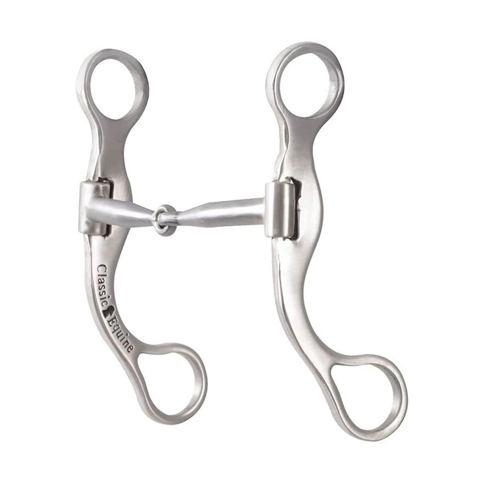 经典 EQUINE Performance 6 英寸直柄钻头带光滑条 (SSPSBIT6SS20) — 第 1/1 张图片