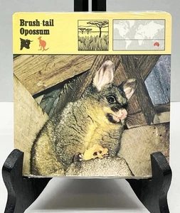 Vintage Rencontre Safari Animal Cards - UNOPENED PACK - Brush-tail Opossum  - Picture 1 of 4